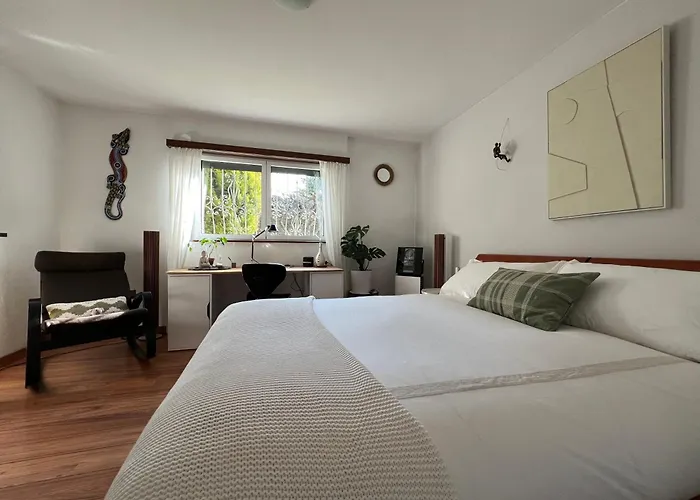 The Comfy Apartment