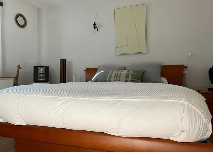 The Comfy Apartment